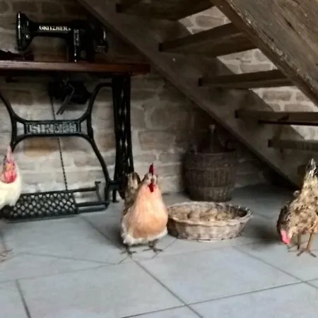 Couette-café La Ferme Du Grand Faubourg 3*